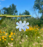 SUMMER THING DAISY