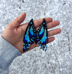 Blue Morpho